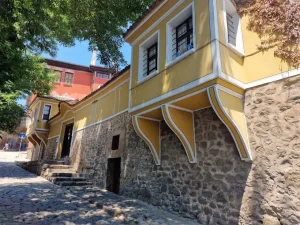 Къща Недкович