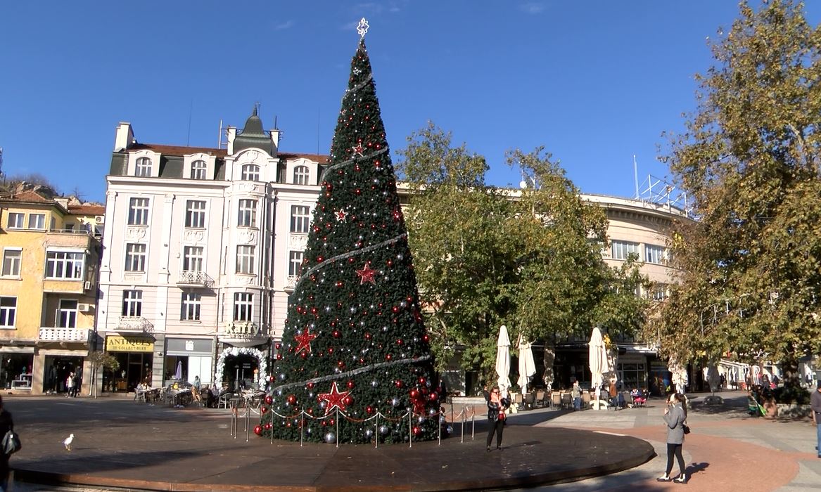 Коледната елха пред Общината подготвена за запалването на светлините