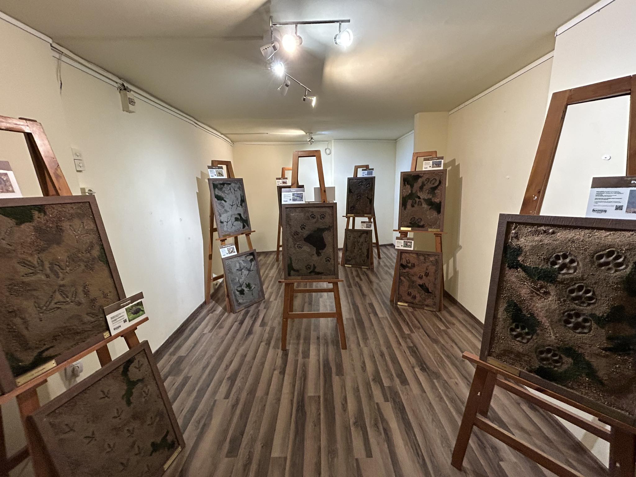 Природонаучният музей показва редки следи от животни на изчезване